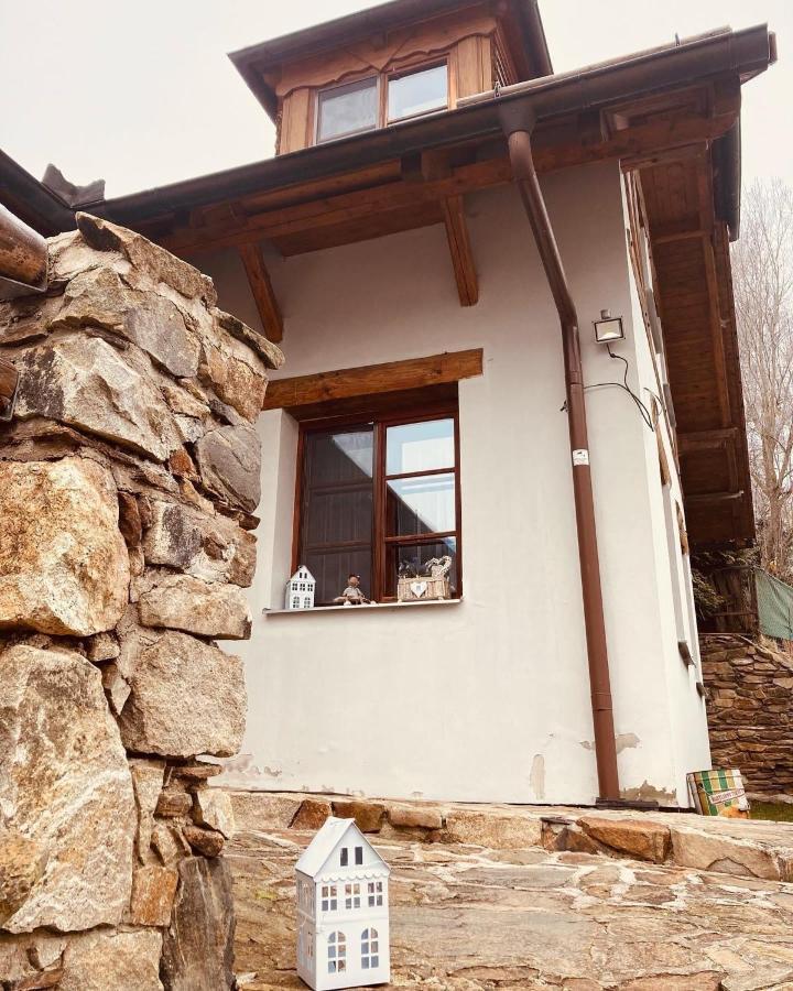 Apartmany Srub Jenisov Horní Planá Exterior foto