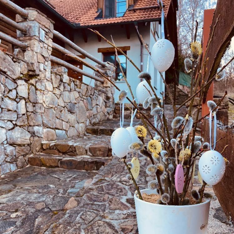 Apartmany Srub Jenisov Horní Planá Exterior foto