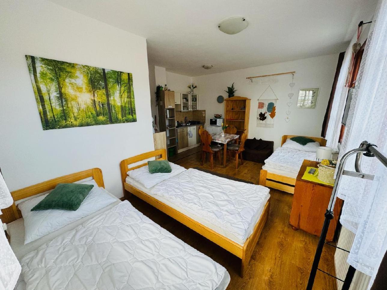 Apartmany Srub Jenisov Horní Planá Exterior foto